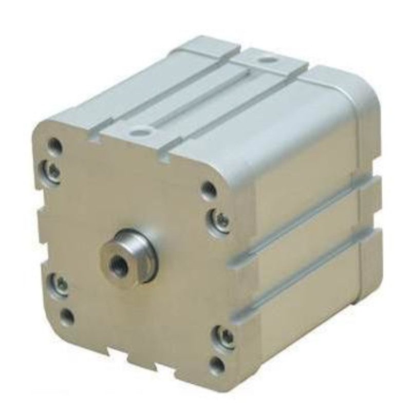 Siłownik pneumatyczny dociskowy DM 100 X 025